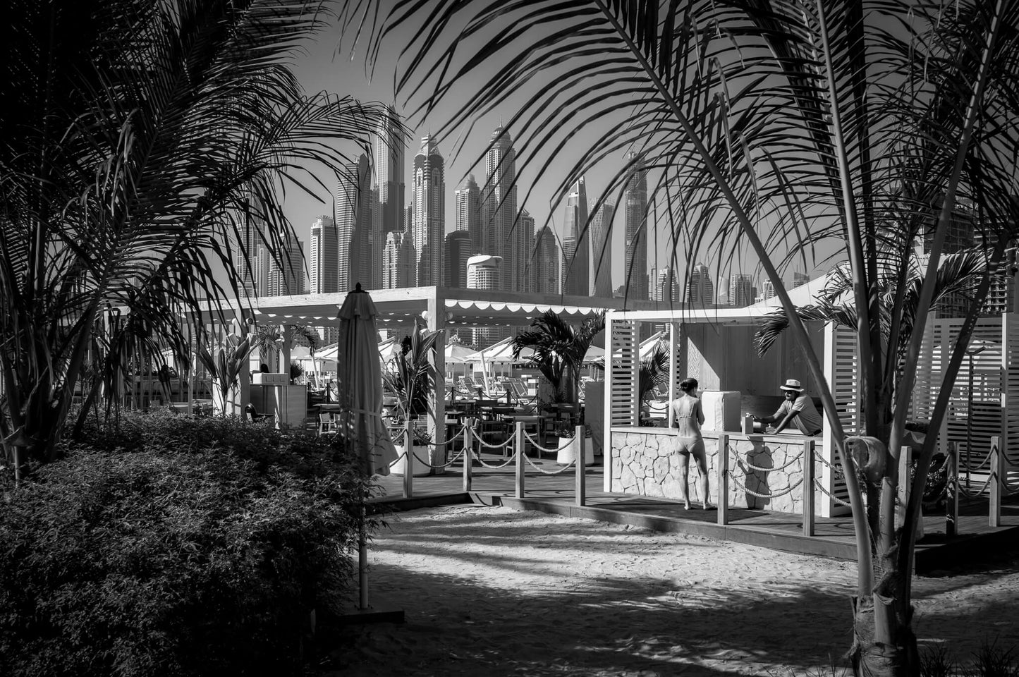 DUBAI JUNGLE