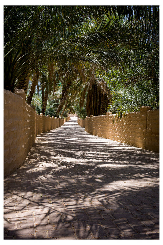 OASIS OASIS - Benoit Joseph