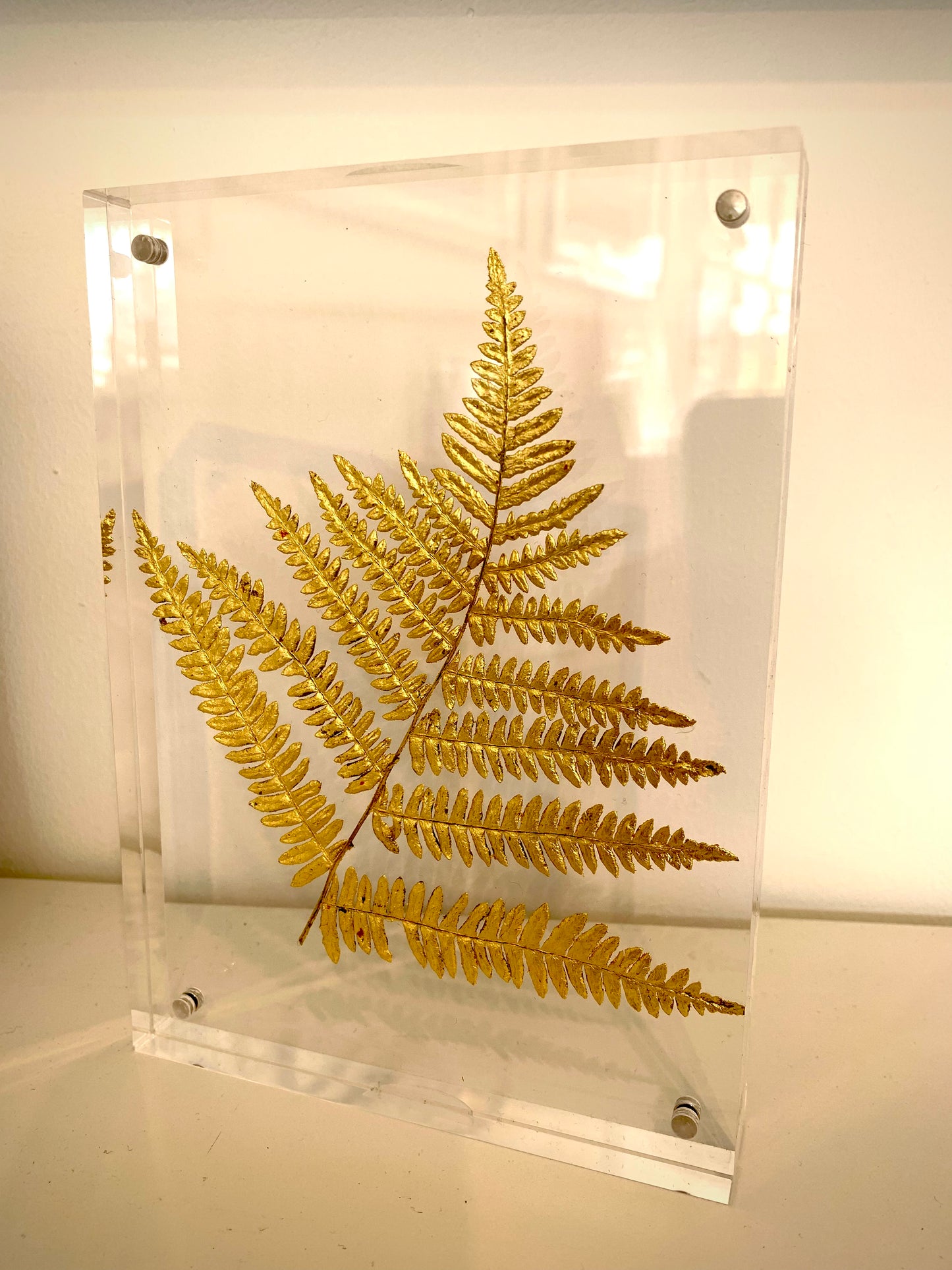 Atelier Avenet - Fern gilded with gold leaves